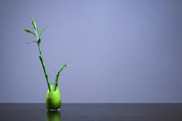 Glücklicher Bambus in grüner Glasvase — Stockfoto