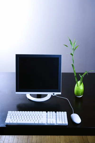 Bilgisayar monitörü ve şanslı bambu — Stok fotoğraf