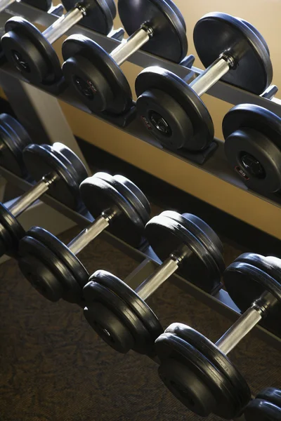 Rows of Hand Weights on Rack — Stock Photo, Image