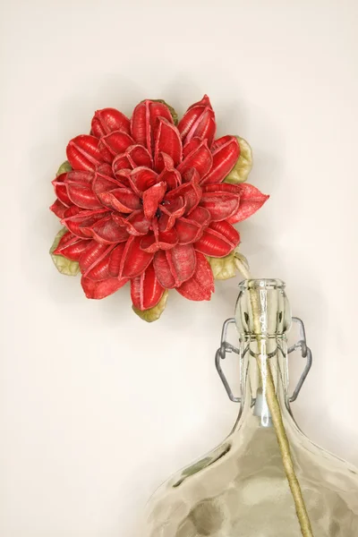 Flower in vase. — Stock Photo, Image