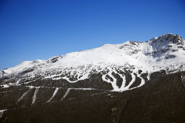 Ski resort routes op berg. — Stockfoto