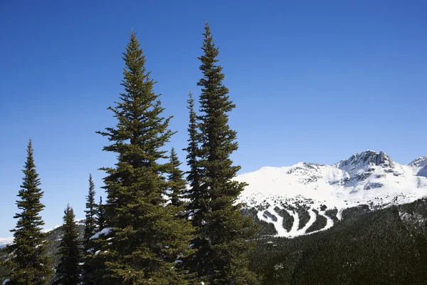 Escenario de pistas de esquí de montaña . — Foto de Stock