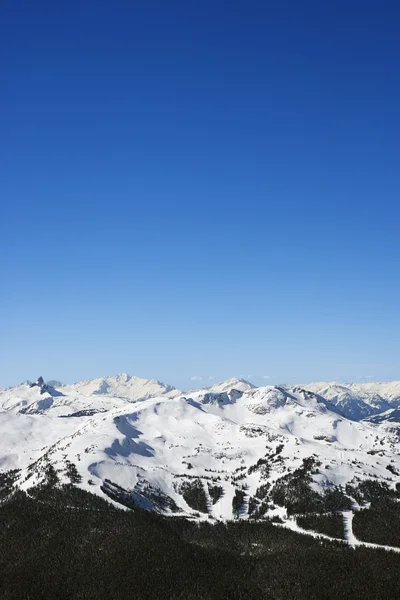 Trilhas de esqui na montanha . — Fotografia de Stock