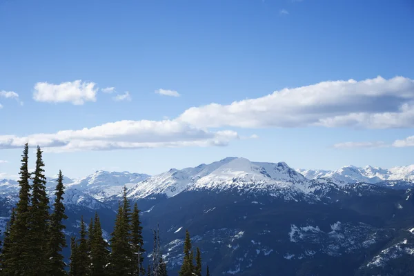 stock image Scenic mountain landscape.