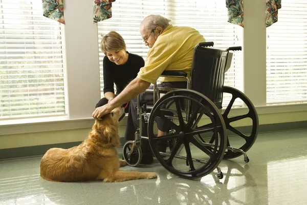 Man in wheelchair with dog. Royalty Free Stock Photos