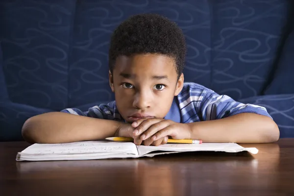 Boy Doing Homework Stock Photo
