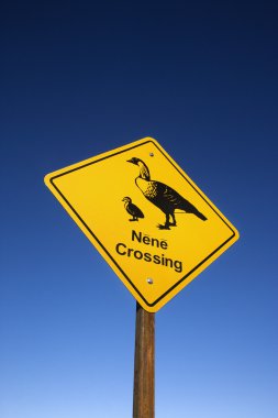 Nene Crossing sign in Maui, Hawaii. clipart