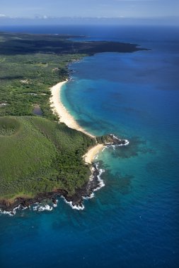 Beach in Hawaii. clipart