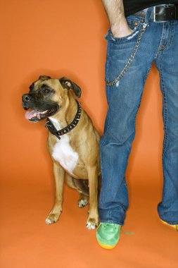 Young man with Boxer dog. clipart