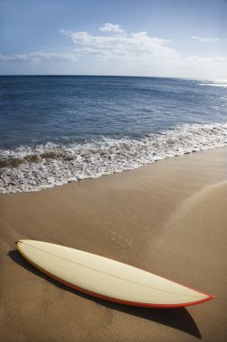 Beach maui surfboard.