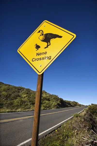 "Nene Crossing "vägskylt i Maui, Hawaii. — Stockfoto