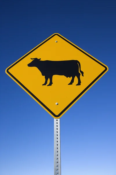 "Rinder auf der Straße" -Schild — Stockfoto