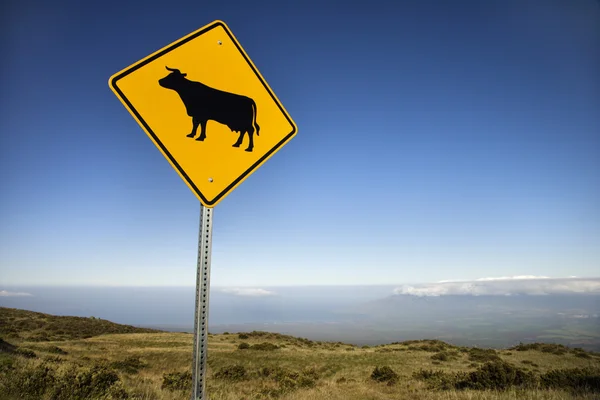 Cow crossing sign in Maui, Hawaii. — Stock Photo, Image