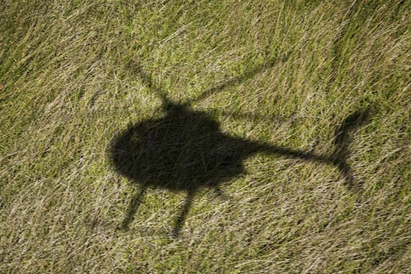 Sombra de helicóptero no campo . — Fotografia de Stock