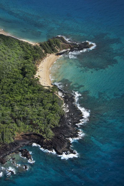 Hawaiianischer Strand. — Stockfoto