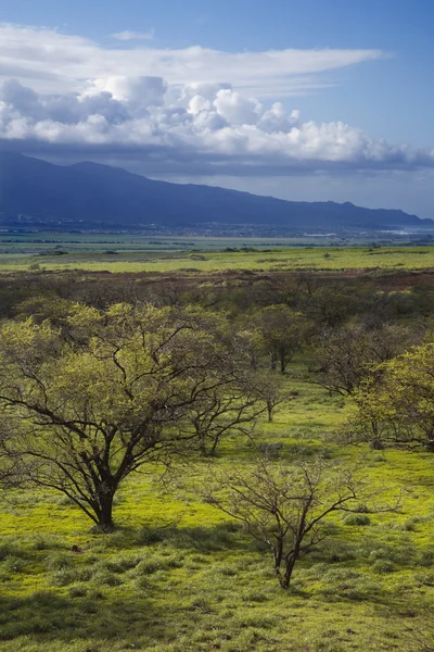 マウイ島、ハワイ. — ストック写真