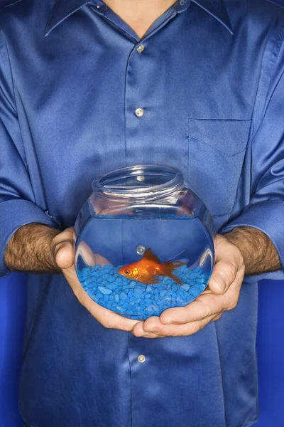 Homme tenant des poissons rouges dans un bol . — Photo