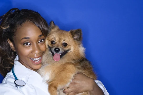 Donna veterinario in possesso di cane marrone . — Foto Stock