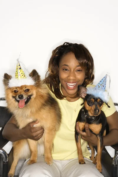 Mujer sosteniendo perros en sombreros de fiesta . — Foto de Stock