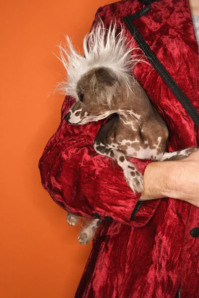 Man met chinese crested dog. — Stockfoto