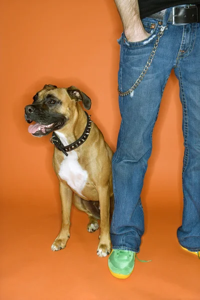 Ung man med boxer hund. — Stockfoto