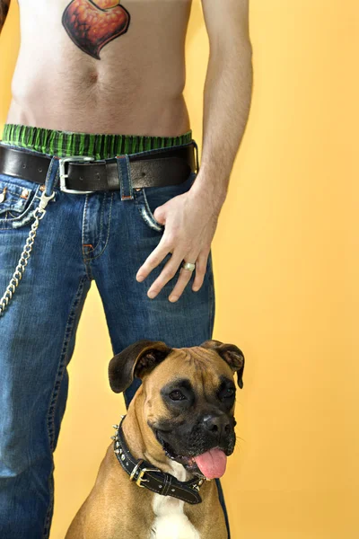 Человек с собакой-боксером . — стоковое фото