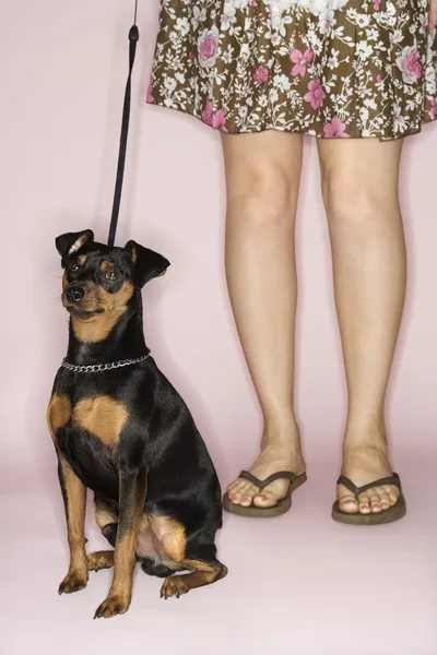 stock image Woman with dog on leash.