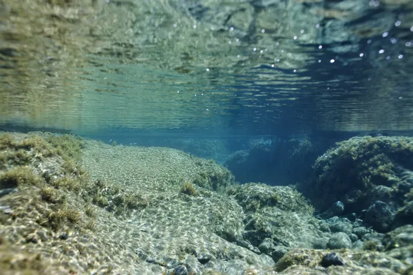 Scena tropicale subacquea . — Foto Stock