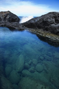 Tidal pool in Maui, Hawaii. clipart