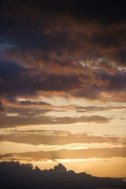 Golden sunset Maui, hawaii.