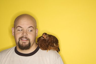 Man looking at chicken on shoulder. clipart