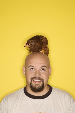 Man with chicken on head. clipart