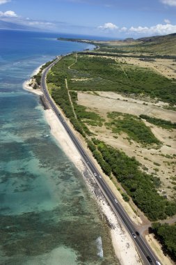 Hawaii coastline. clipart