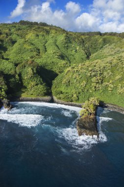 Hawaiian coastline. clipart