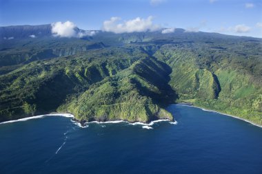 Hawaii coastline. clipart