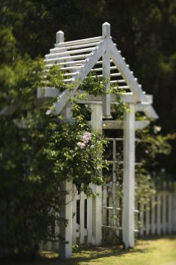 Arbor with rose bush. clipart