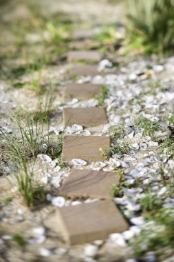 Stepping stone pathway. clipart