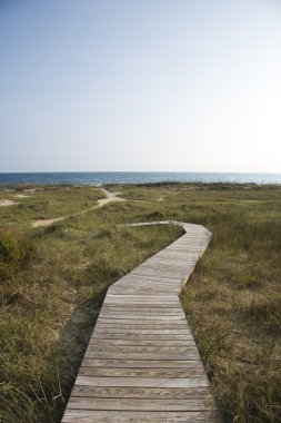 Path to beach. clipart