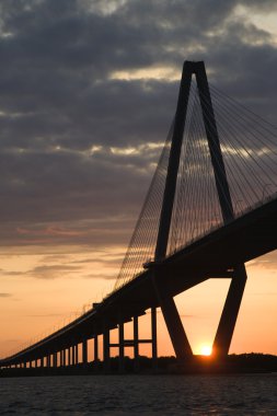 Charleston'da Cooper Nehri Köprüsü.