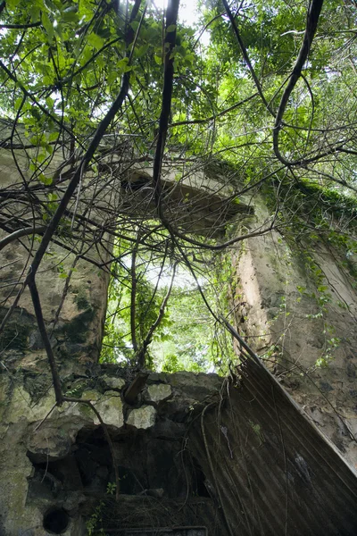 Structure abandonnée avec des branches . — Photo