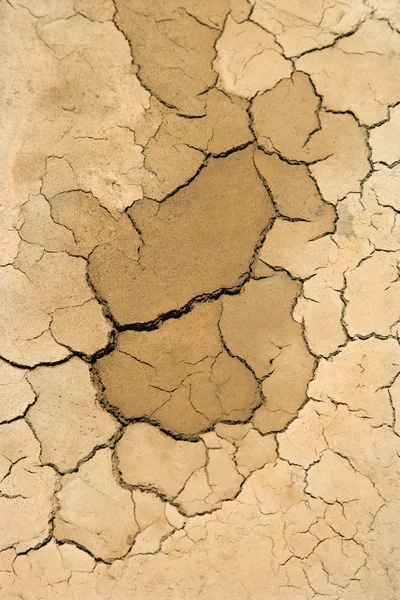 Dried up cracked dirt. — Stock Photo, Image