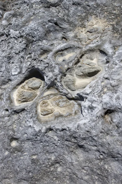 Tekstura skały w maui na Hawajach. — Zdjęcie stockowe
