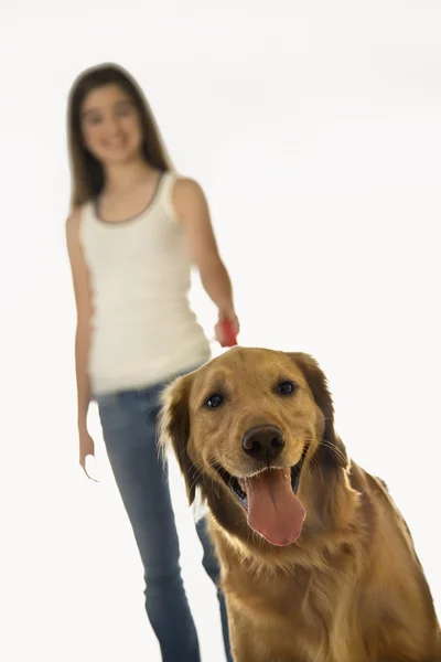 Hond op leiband met meisje. — Stockfoto