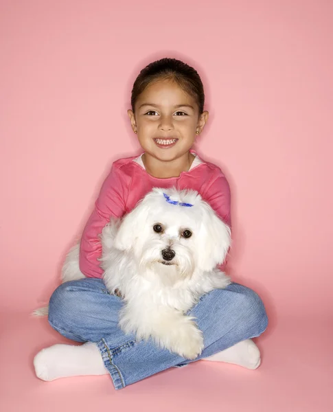 Girl holding white Maltese dog. — Stock Photo, Image