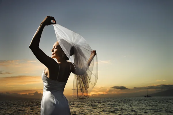 Bride holding out veil on beach. — Stock Photo, Image