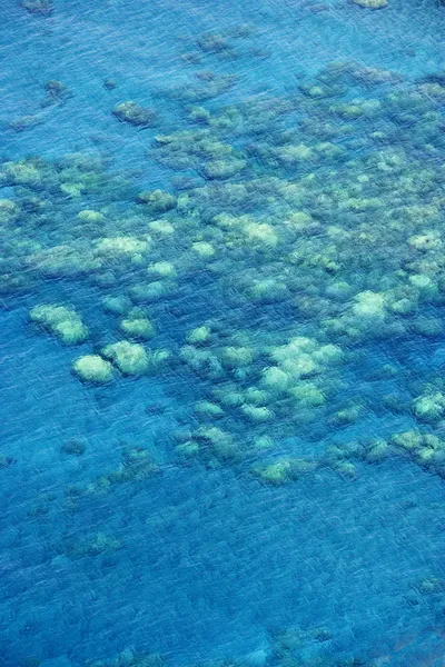 Barriera corallina hawaiana . — Foto Stock