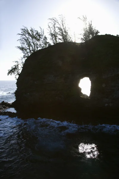 Rock in Oceaan. — Stockfoto