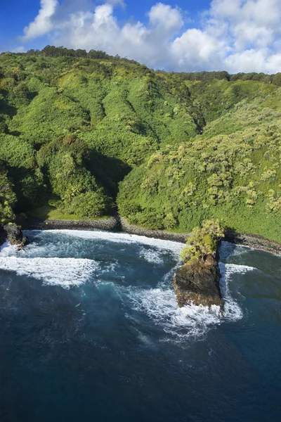 Hawaiianische Küste. — Stockfoto