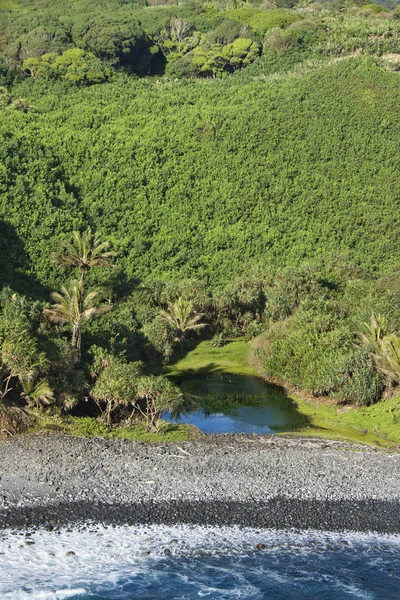Антенна Мауи. — стоковое фото