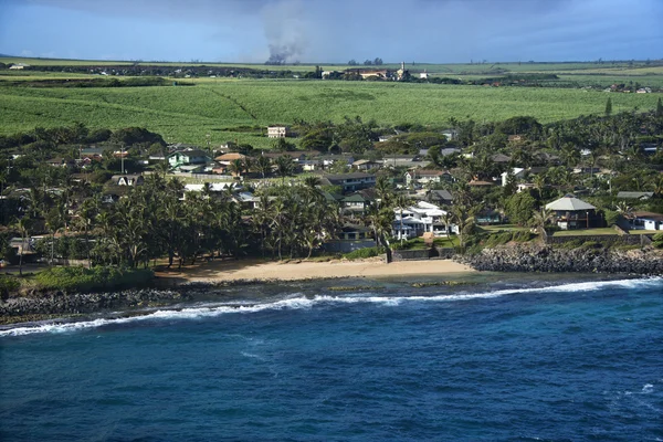 Casas en la costa de Maui . — Foto de Stock